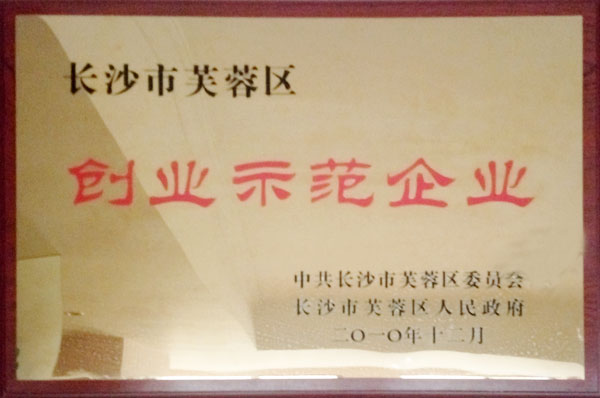 長沙市芙蓉區創業示范企業